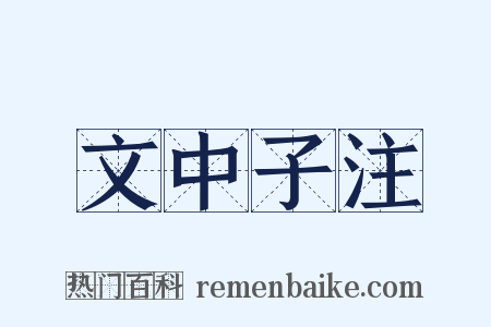 文中子注是什么意思的图片